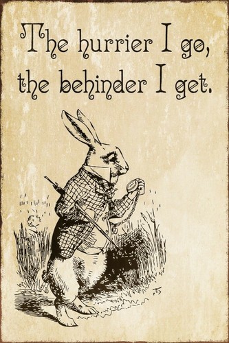 MVLICE<P>White Rabbit 25thシク 81SI6FLhaoL._UF350,350_QL50_.jpg