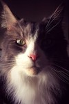 augar_tkcizk5id