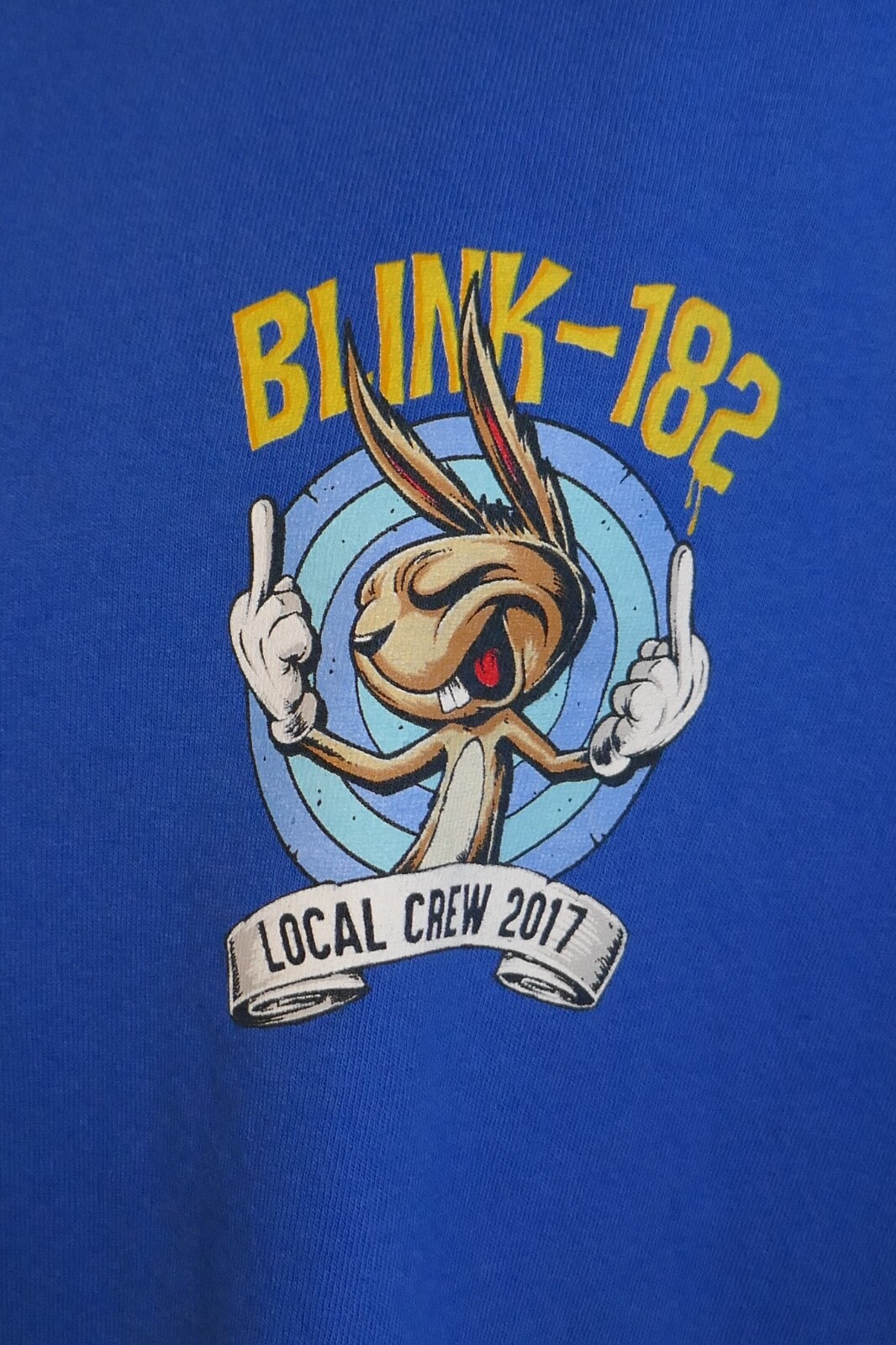 00's POINTFEST Tシャツ Blink-182 Bush 311 Amazon.com: Blink 182 Unisex's Standard Blink 182-Edging The