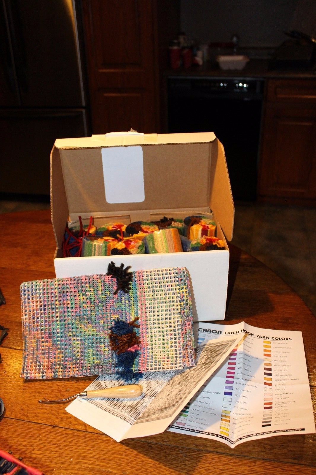 Caron Latch Hook Kit Classic Country Harvest with hook & instructions in box