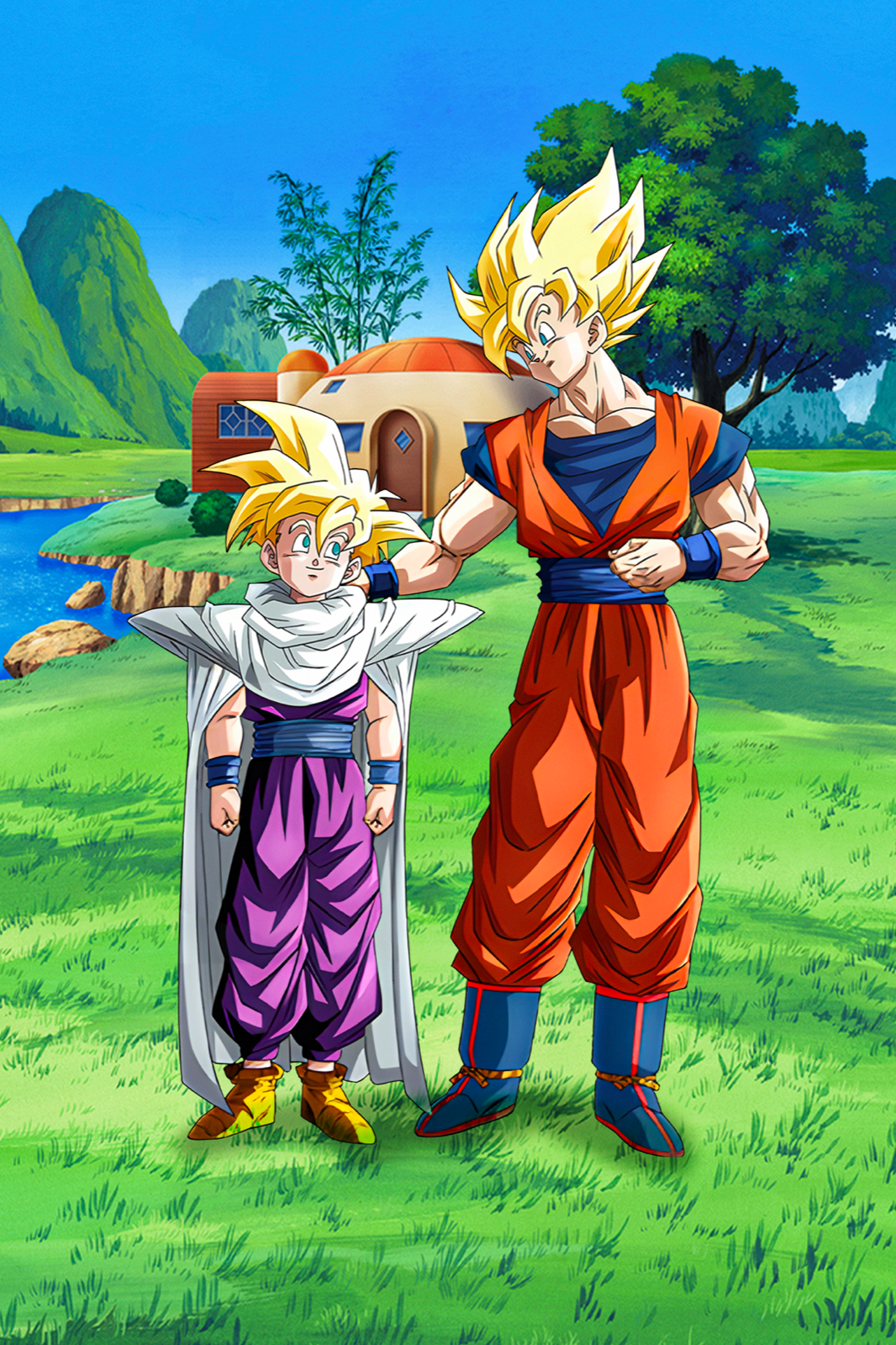 Dragon Ball Poster DBZ Goku and Teen Gohan at home 12inx18in Free
