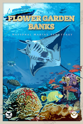 Flower Garden Banks National Marine Sanctuary System Poster NOAA Oceanic Prints