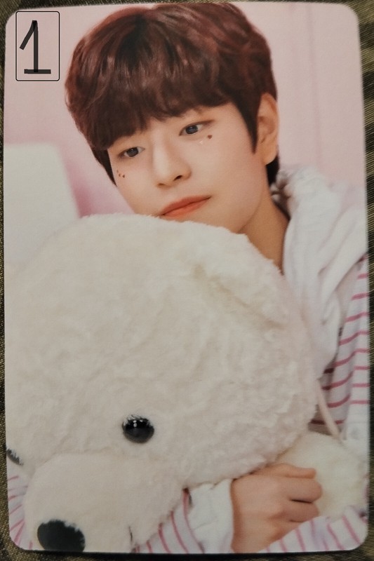 Photocard  K Pop Au Choix Straykids Season S Greetings 2022 Room Mates Seungmin