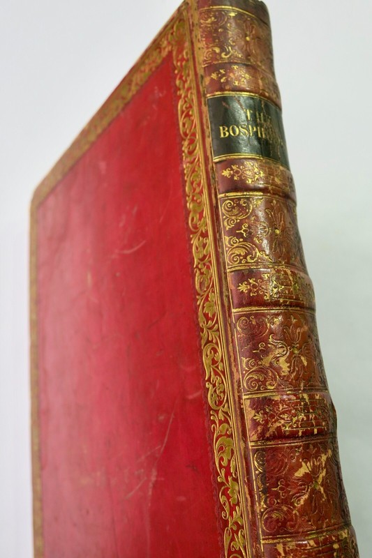 Turquie Bartlett & Pardoe Beauties Of The Bosphorus..Constantinople...