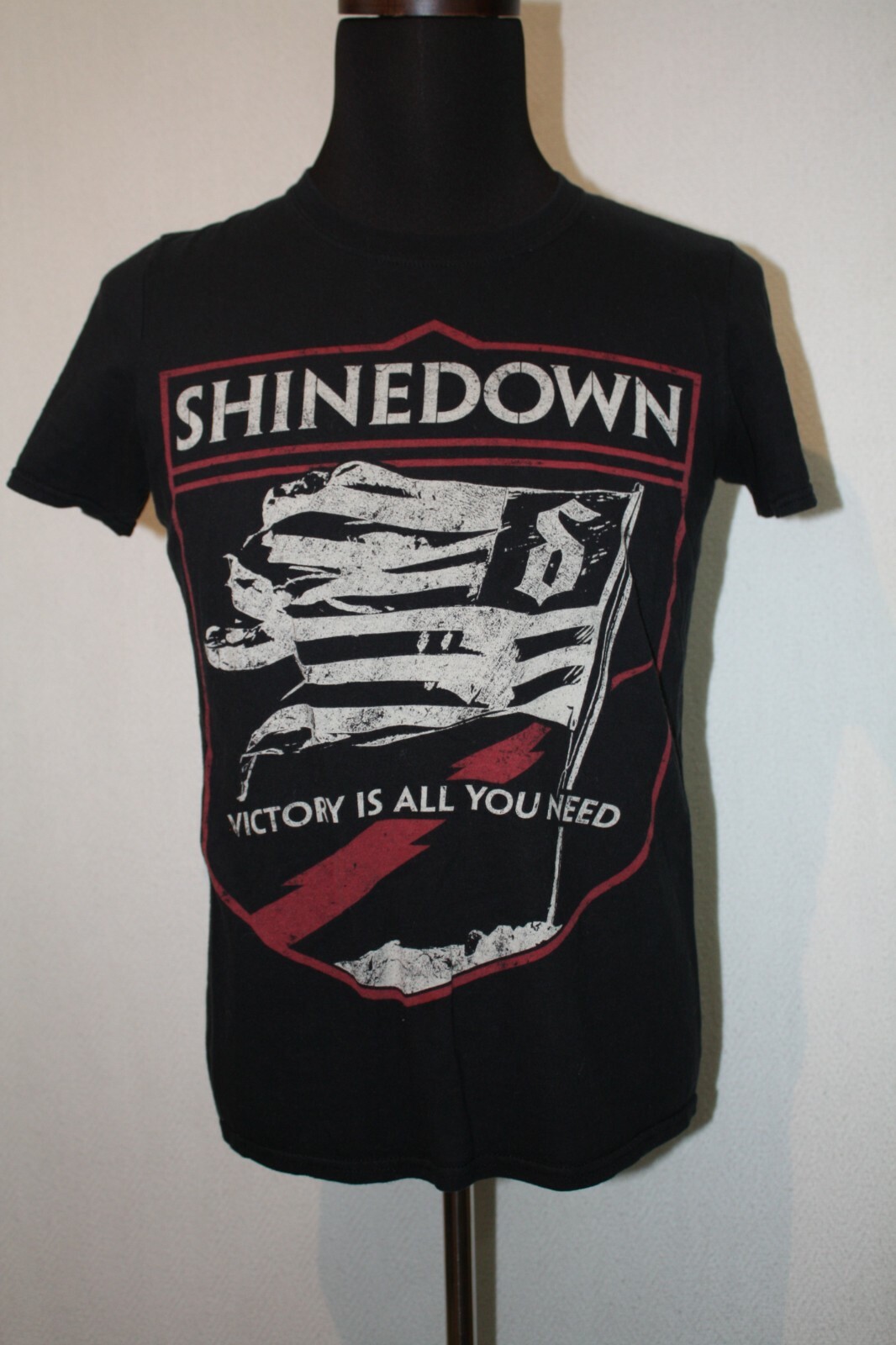 新品未開封　ZIONTHEBAND\