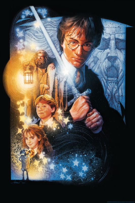 Harry Potter And The Chamber Of Secrets 16 Color Screen Print Drew Struzan 24x36