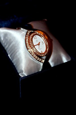 Jaclyn Smith Oval w/ Crystals Stone Accent Two-Tone Gold/Silver Ladies' Watch 