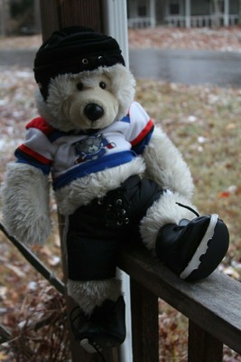 ice skating teddy bear
