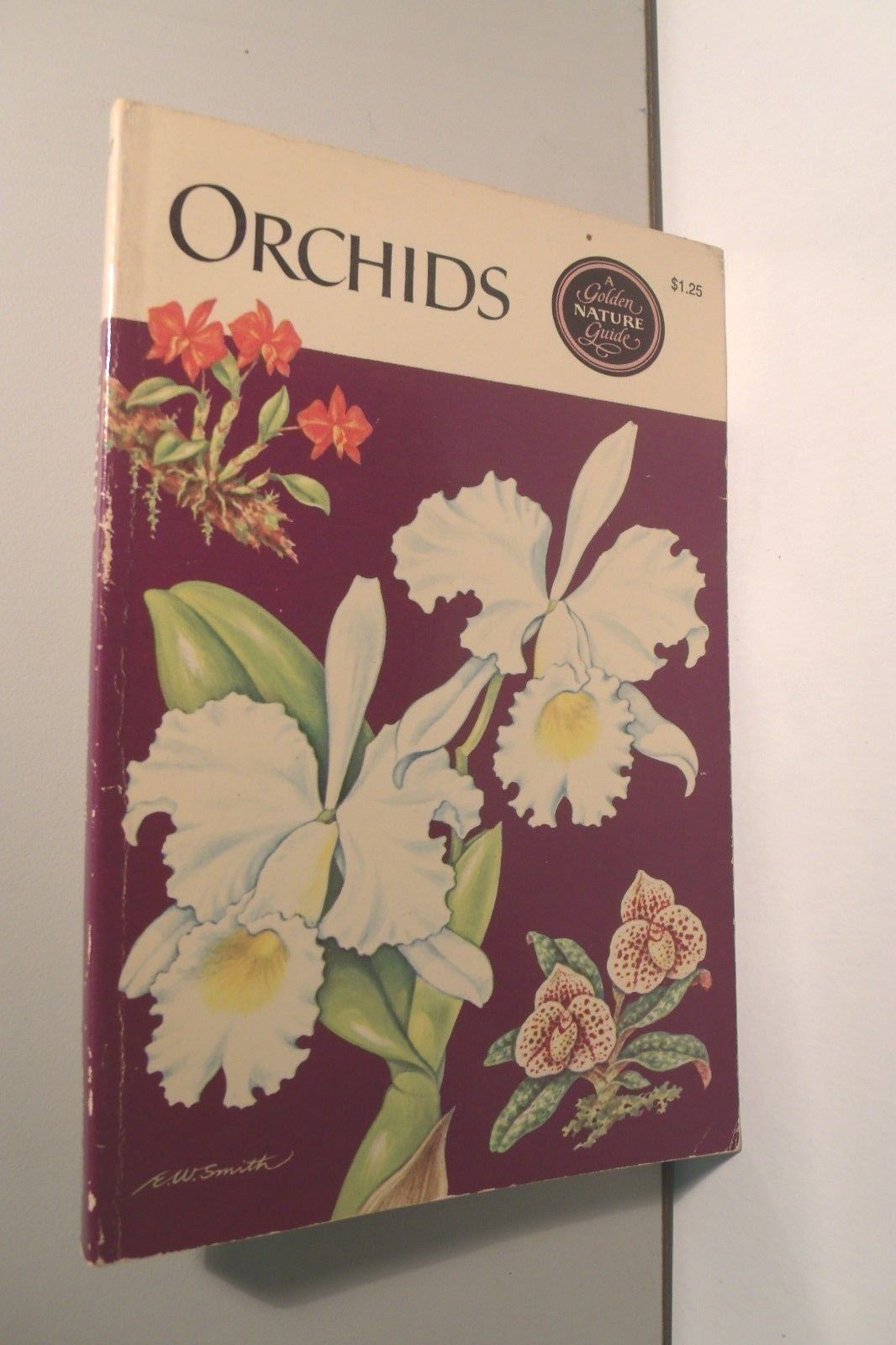 A GOLDEN GUIDE ORCHIDS Vintage 1970 Golden Press A Golden Guide \u201corchids\u201d - A Golden