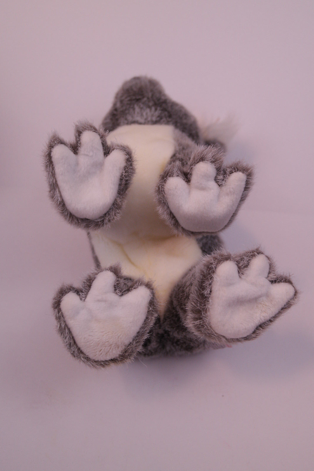 TY Beanie Baby Koala Bear Beaut Plush 2003