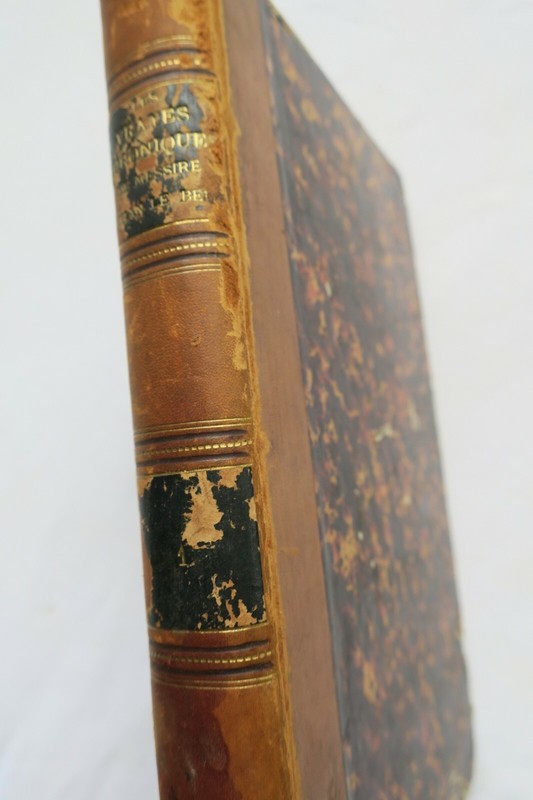 Vrayes Chroniques De Messire Jehan Le Bel. Histoire Vraye Et Notable 