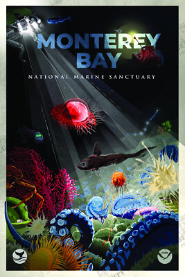 Monterey Bay National Marine Sanctuary System Poster NOAA Oceanic Prints