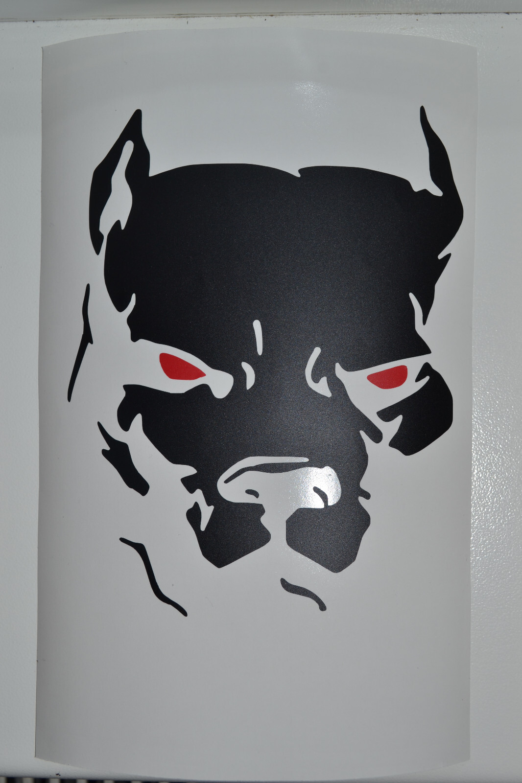 Pitbull Samurai 04