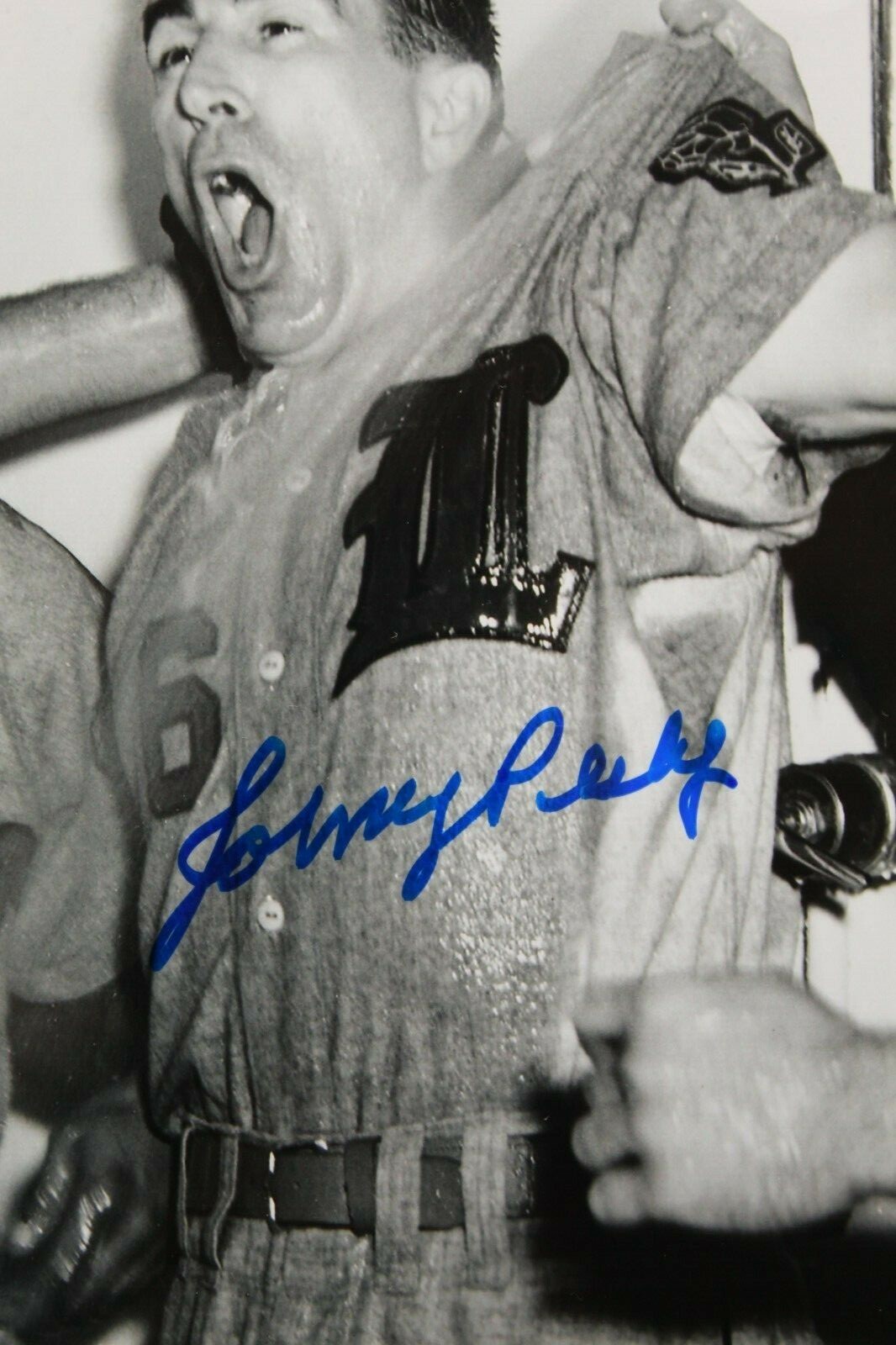 Johnny Pesky signed auto autograph photo photograh 8x10 Boston Red Sox