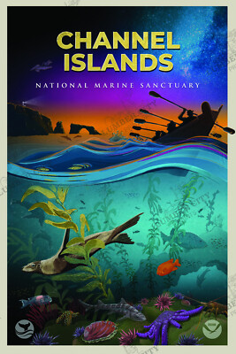 Channel Islands National Marine Sanctuary System Poster NOAA Oceanic Prints