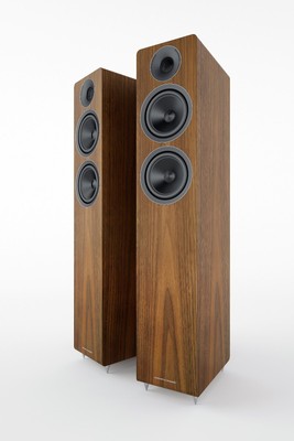 acoustic energy aesprit 309