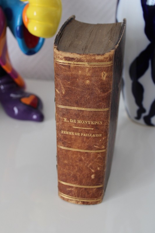 Femme De Paillasse- Xavier De MontÃPin- Tome I & Ii- 1874- IllustrÃ - Eo