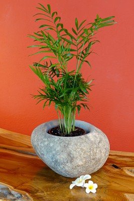 Übertopf Stein Topf Pflanztopf Grau Blumenübertopf