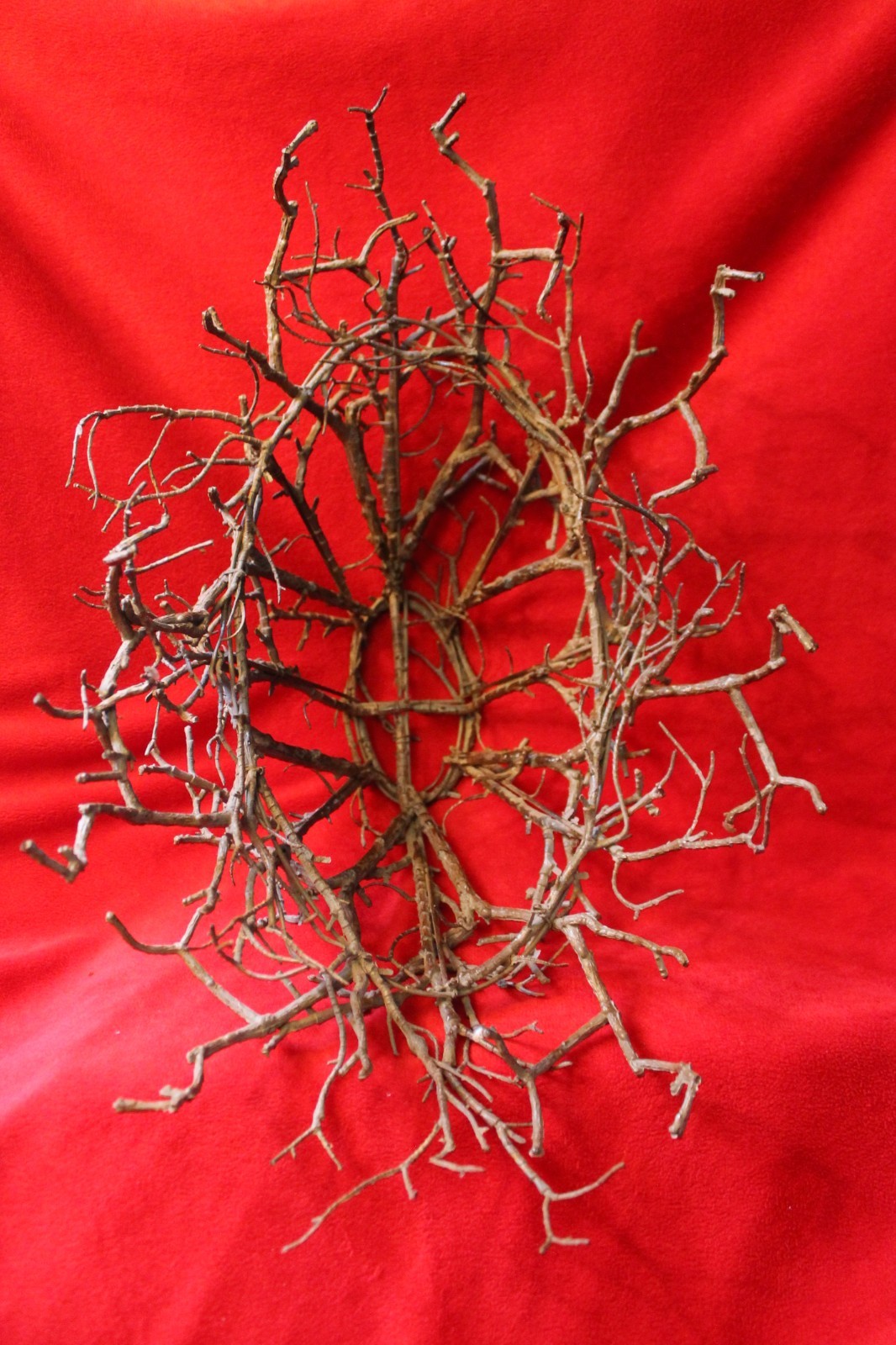 Unique home decor decorative plastic tree branch bowl wedding gothic creepy