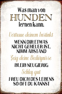 Sammeln Seltenes Kulthanger Blechschild Schoner Garten Wischt Staub Des Alltags Von Seele Kh060 Manytomorrows Plurality University Org