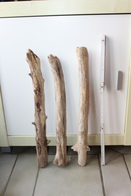 3 x dicke, ausgewaschene Treibholz Äste, 55 - 57 cm, ca. 5 cm dick