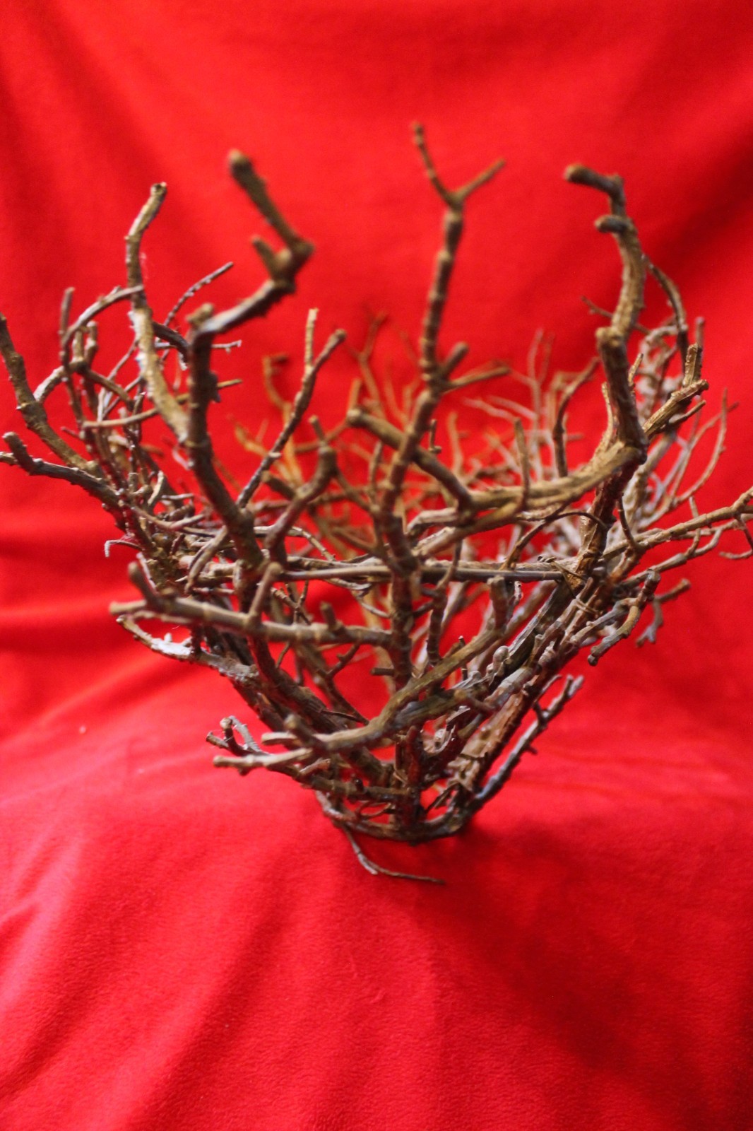 Unique home decor decorative plastic tree branch bowl wedding gothic creepy