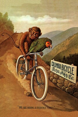 Bicycle Bike Cycle Columbia Monkey Parrot Heavenly Time Poster Repro FREE S/H