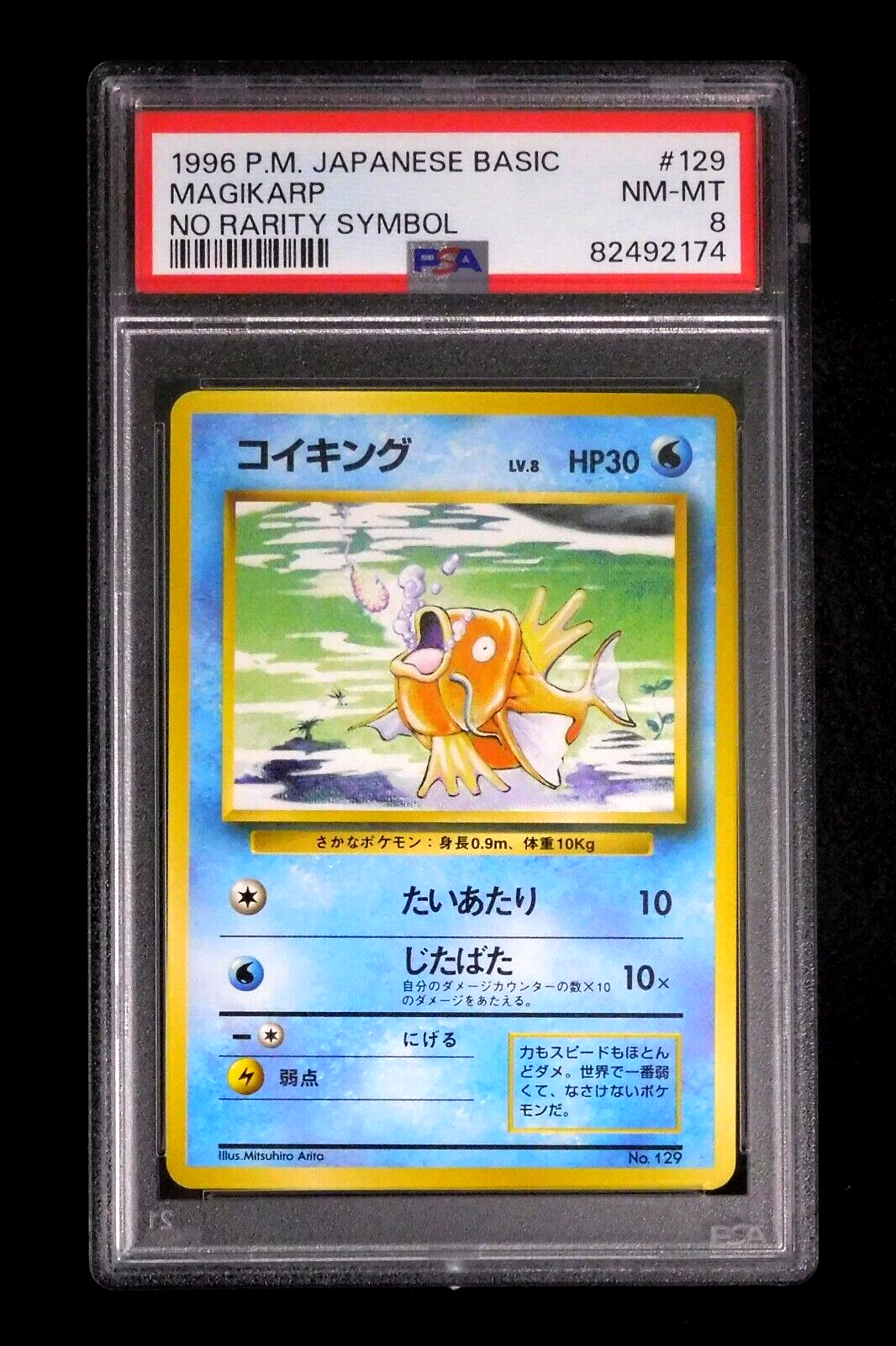 Magikarp PSA 8