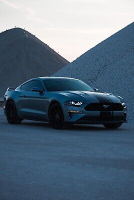 2020 Ford Mustang Grey RWD Automatic GT