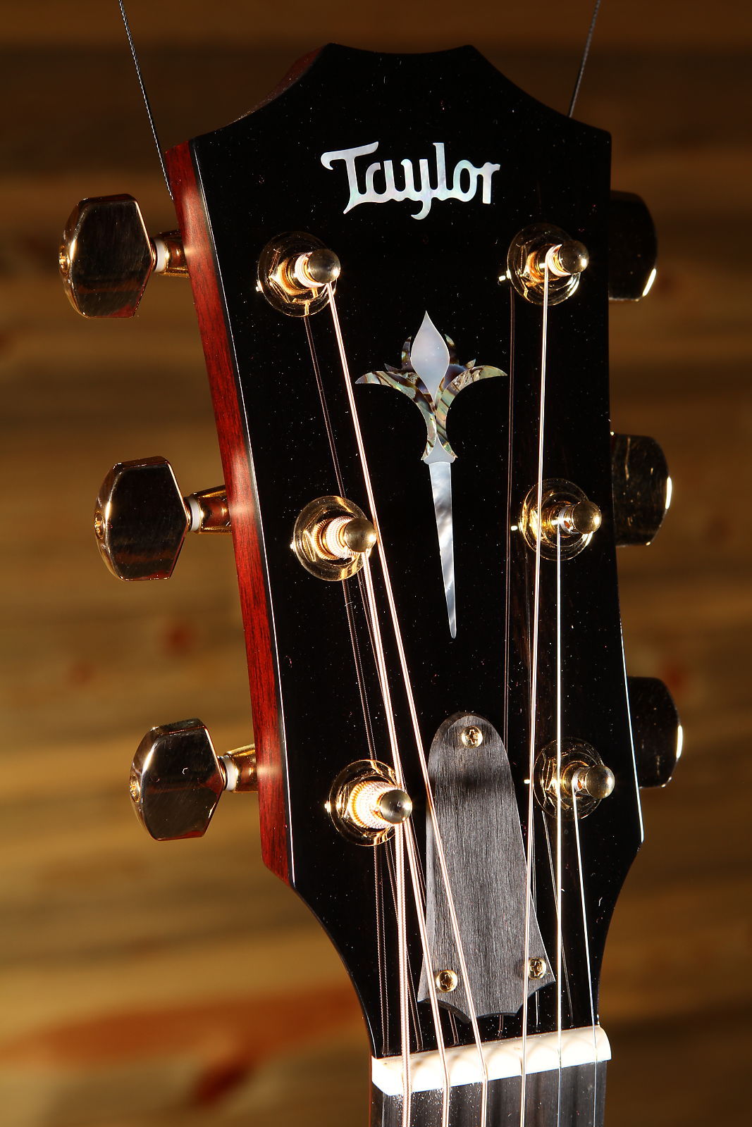 Taylor 814ce GA Acoustic/Electric Guitar, NAMM Limited Cocobolo