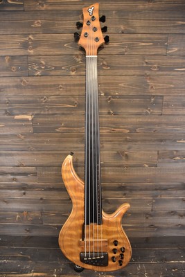 Bass String Fretless