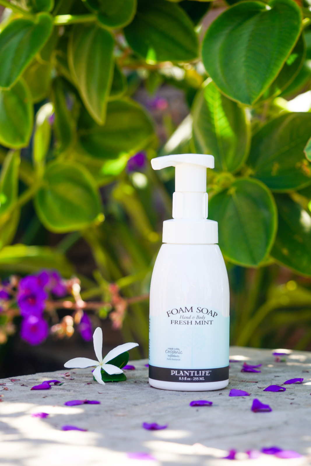 Plantlife Foam Soap - Gentle, Moisturizing, Plant-based for All Skin Types