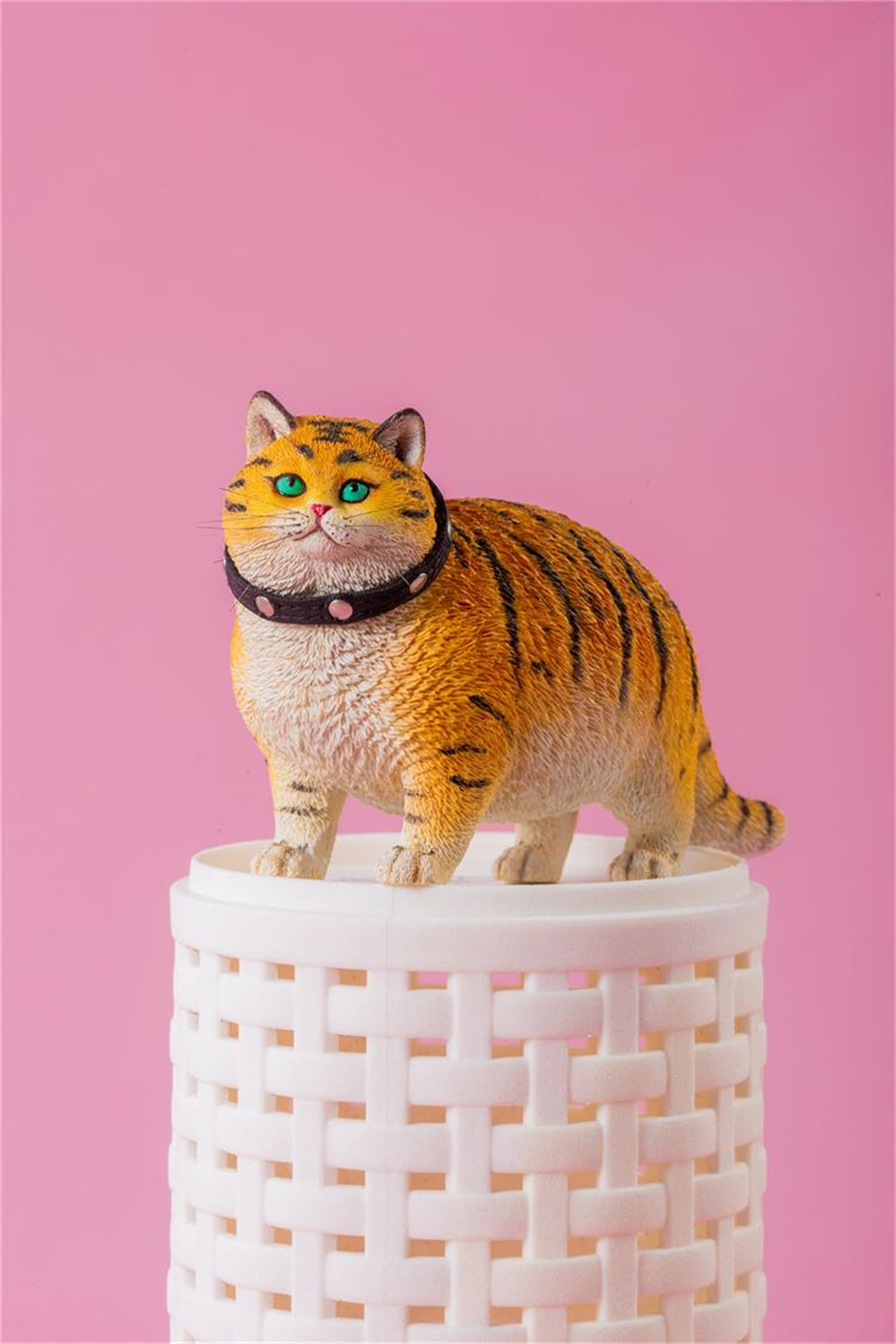 ★ kittychan★ Cat C | HLJ.com