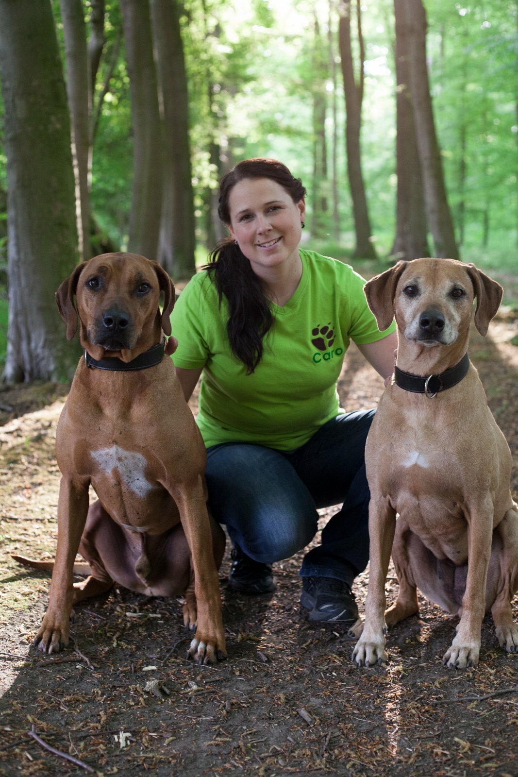 Sachkundenachweis Hund, Hundeführerschein, Sachkunde, Hundeschule in