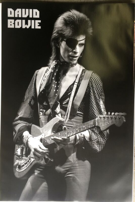 David Bowie Black & White Poster 24 x 36