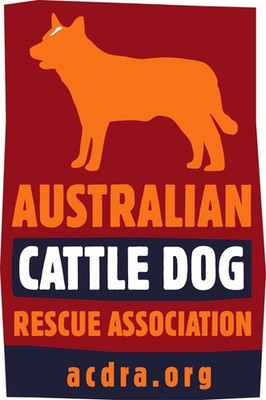 Australian Cattle Dog Rescue Association