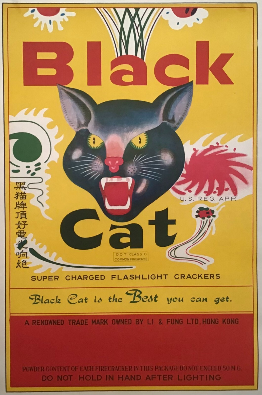 額縁 vintage cat poster Flame Cats in Front of Fireplace Vintage Print 1906 Poster