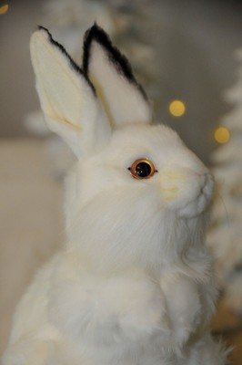 Hansa White Rabbit 13