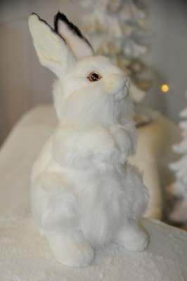 Hansa White Rabbit 13