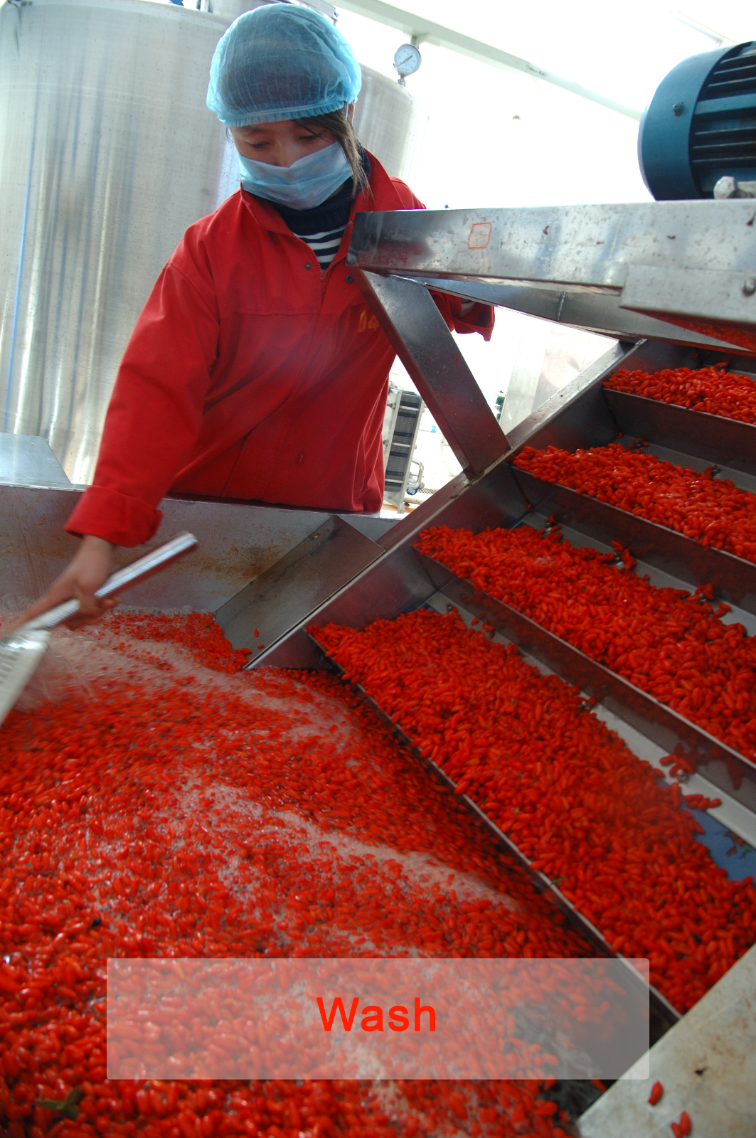 Organic Dried Goji Berries Superfood Raw Vegan Wolfberries by Wholeberry