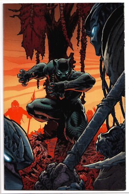 Predator vs Black Panther #1 2 3 MAIN & Variant Comics YOU CHOOSE 2024