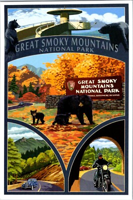 Great Smoky Mountains National Park Tennessee Scenic Montage bear postcard