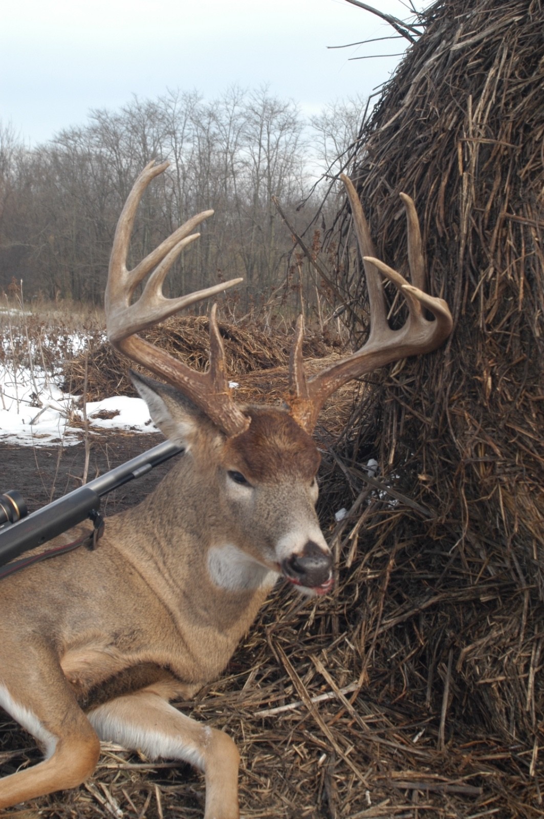 Nebraska DIY Muzzleloader/bow Whitetail Deer Hunt