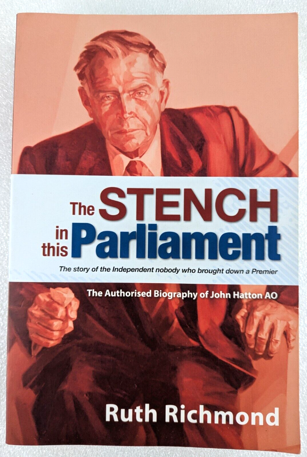 Preview of The Stench In This Parliament