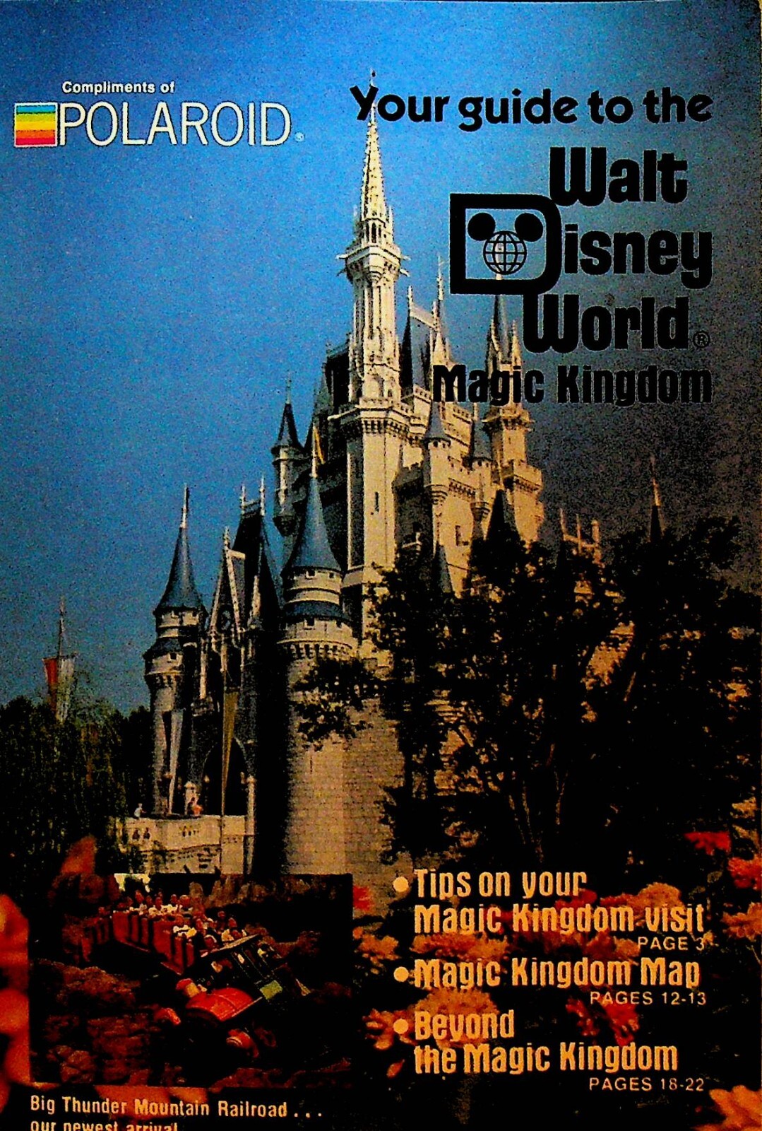 Your Guide to the Walt Disney World Magic Kingdom 1980 | eBay