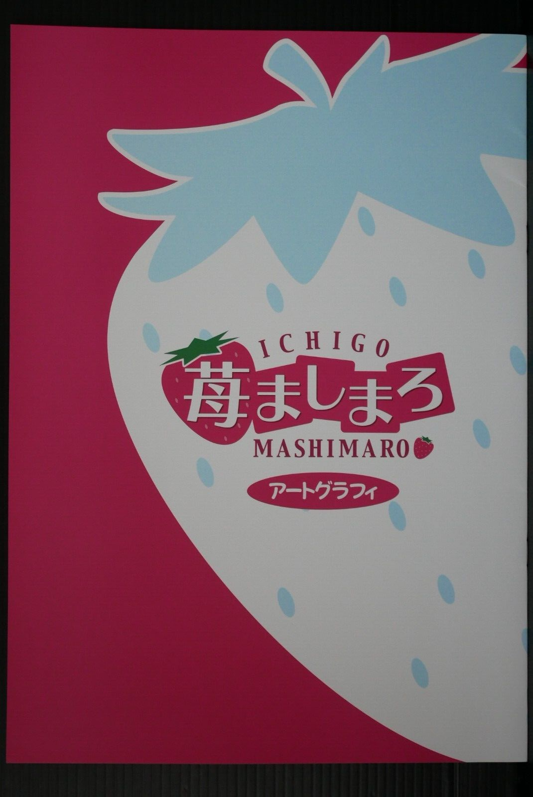 苺ましまろ ICHIGO MASHIMARO 予約特典画集 アートグラフィ Strawberry Marshmallow / Ichigo Mashimaro Art Graffiti by