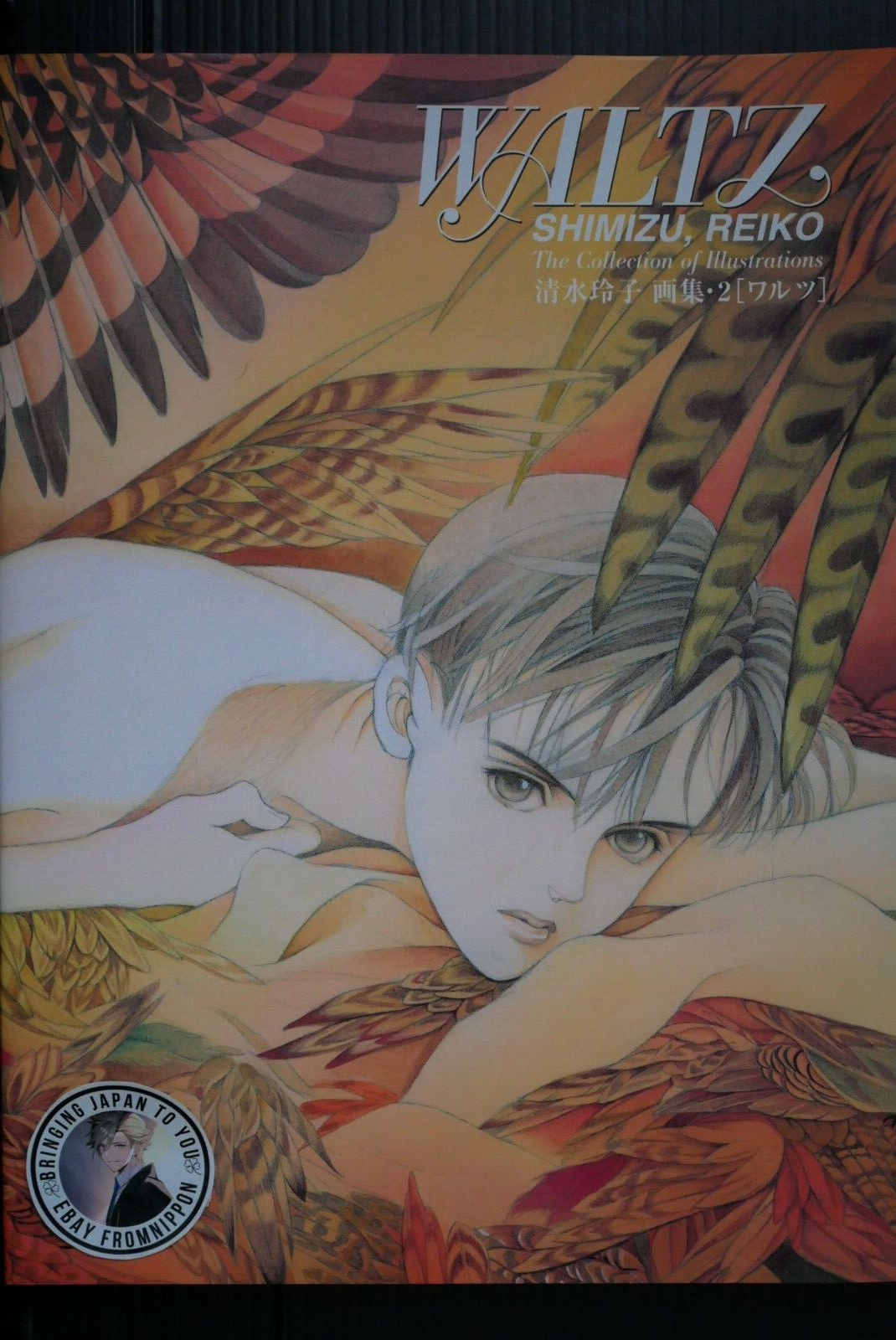 アート・デザイン・音楽 THE ARTWORK OF REIKO SHIMIZU THE ARTWORK OF REIKO SHIMIZU アート・デザイン・音楽