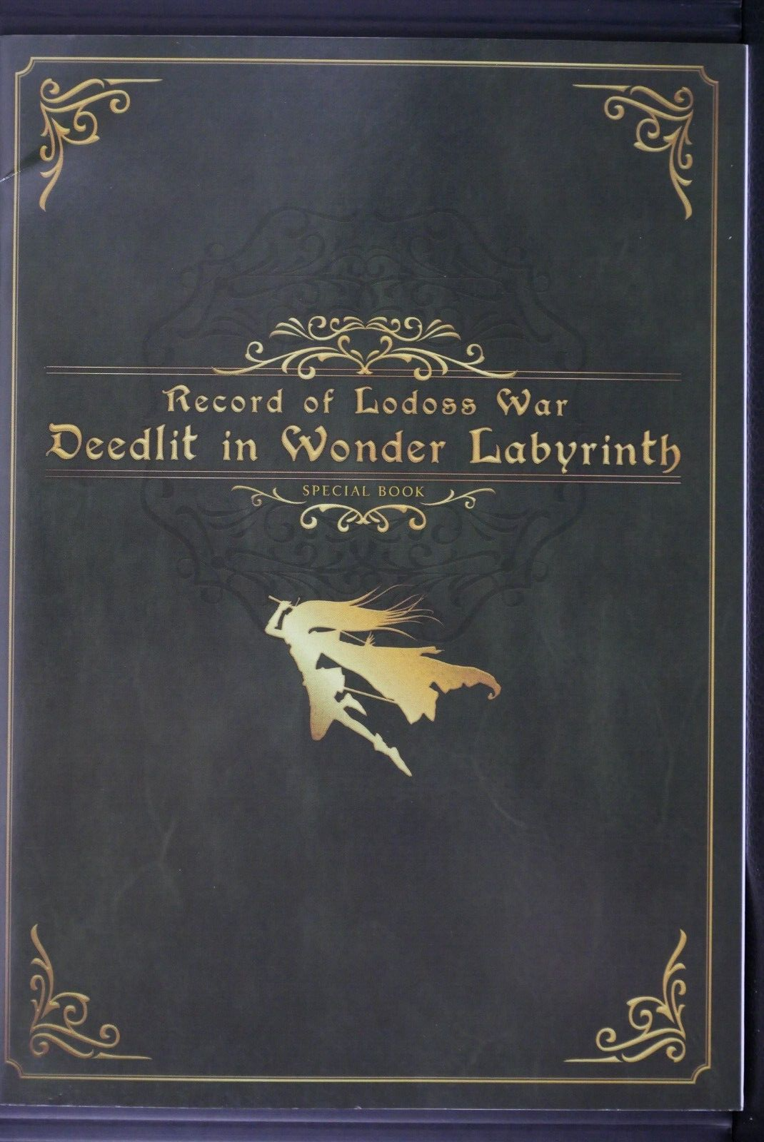 Record of Lodoss War【中古美品・DC北米版】 PS5 - RECORD OF LODOSS WAR : DEEDLIT IN WONDER LABYRINTH