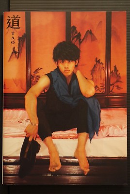 Tori Matsuzaka Photo Book - Michi (Samurai Sentai