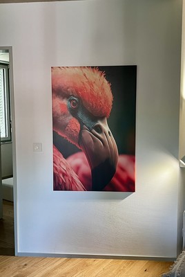 Fotos del artículo de un comprador verificado